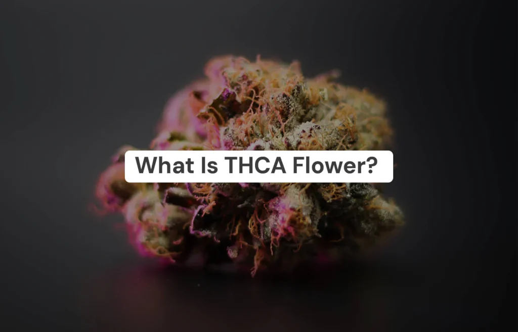 best thca flower
