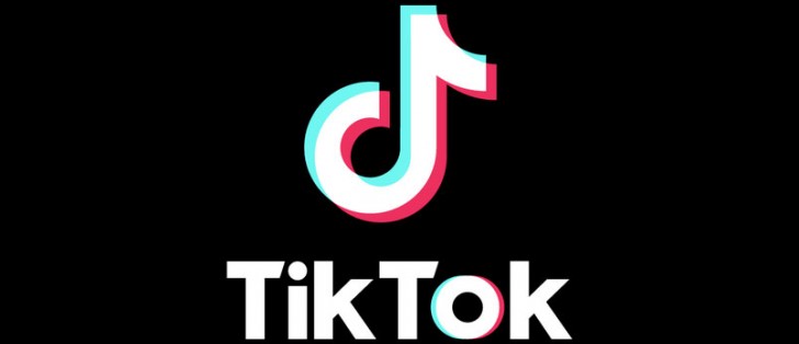 TikTok Video Downloader